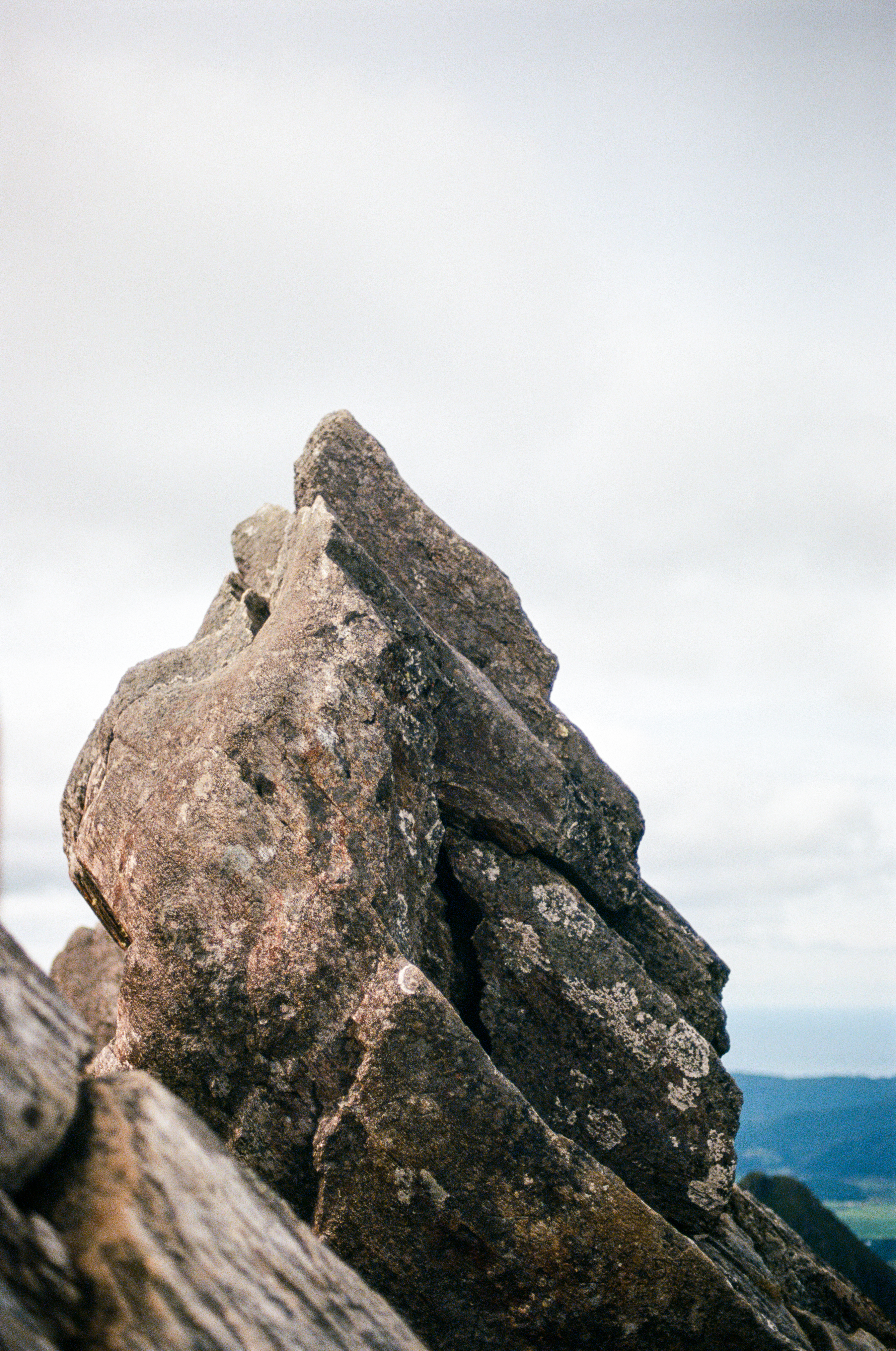Photo by Craig Anderson, shot on Ektar film.